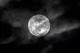 themuncoin.com